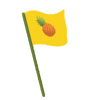 FantaBelgium flag belgium elections raspberry Sticker