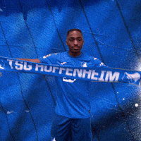 Sport Bundesliga GIF by TSG Hoffenheim