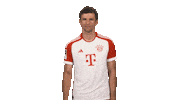 Bayern Munich Football Sticker by Bundesliga
