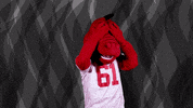 dragons mascot GIF by Minnesota State University Moorhead