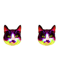 Cat Rainbow Sticker