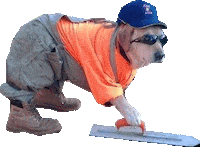 dog Sticker by namslam
