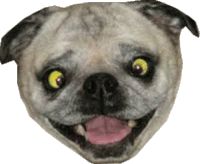 dogdings STICKER by namslam