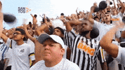 santos; santos fc; vila belmiro; alÃ§apÃ£o GIF by Santos Futebol Clube