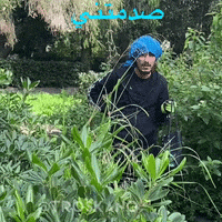 troskano no way troskano im surprised صدمتني GIF
