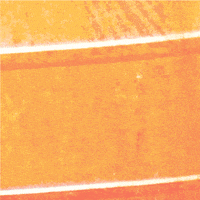 Beach Ocean GIF by Apply