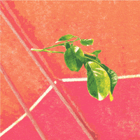 Summer Spring GIF by Apply