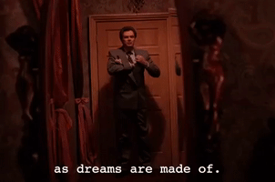 season 1 GIF by Twin Peaks on Showtime