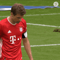 Thomas Muller Football GIF by FC Bayern Munich