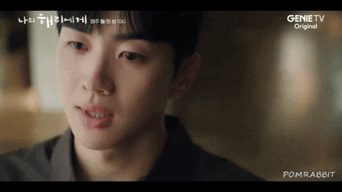 ポンラビット giphyアップロード GIF