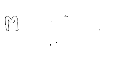 Futbol Argentina Sticker by Jenniferbrettdg