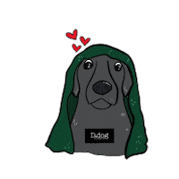 Puppies Shampoo Sticker by DIEGO DALLA PALMA PET BEAUTY