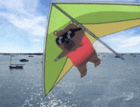 Bear Flying GIF by Bobo Memes