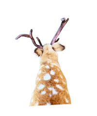 78 Sticker by BML2020