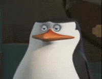 Mad The Penguins Of Madagascar GIF