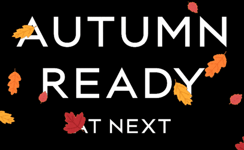 Fall Autumn GIF by Life at NEXT