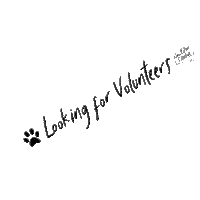 GIF by New Collar Collective