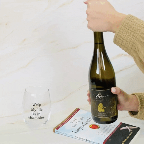 LeahVanDale giphygifmaker cheers wine drinks GIF