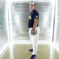 Pitcher GIF by Toledo Rockets