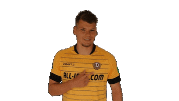 Logo Smile Sticker by SG Dynamo Dresden