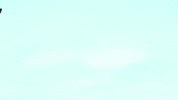 teen titans go robin GIF by Cartoon Network EMEA