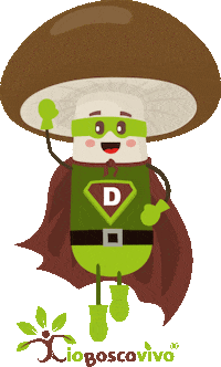 _ioboscovivo_ power fly hero superhero Sticker