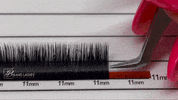 GIF by BrandLashes