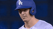 Regular Season Sport GIF by MLB