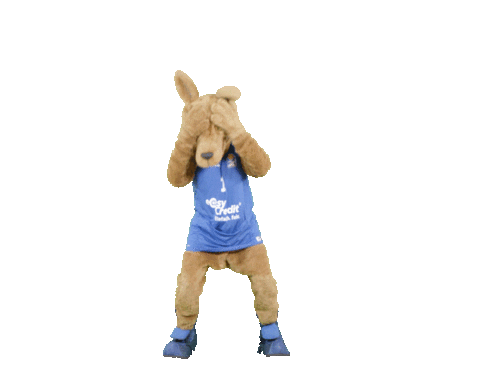 social-media-easycredit giphyupload basketball jubel easycredit Sticker