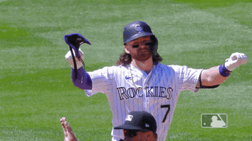 Regular Season Sport GIF by MLB