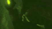 boydestroy psychotic boy destroy boydestroy GIF