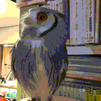 dance moves GIF