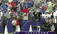 2018 Nfl Football GIF by NFL