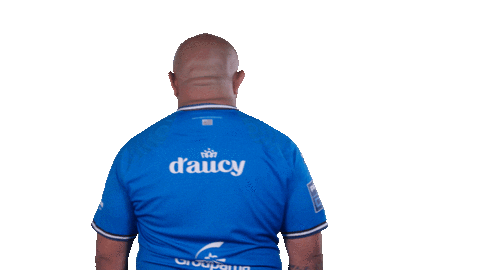 RCVannes giphyupload kite vannes rcv Sticker