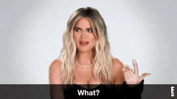 Keeping Up With The Kardashians Kardashian GIF by KUWTK