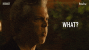 Tv Show What GIF by HULU