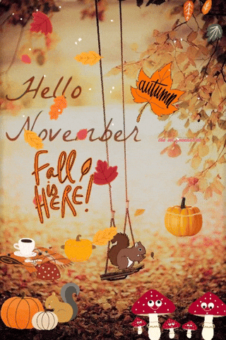 Pumpkin Spice Love GIF by The SOL Foundation