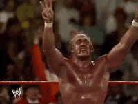 wrestlemania v wrestling GIF by WWE