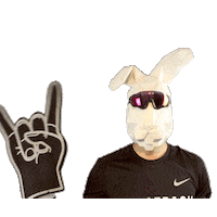 Sport Bunny Sticker by PACE PACK RUNNERS