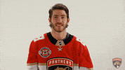 florida panthers hockey GIF