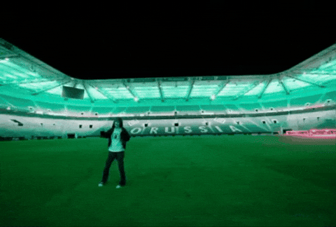 Borussia Dortmund Football GIF by Jan Metternich