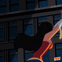 Wonder Woman Fight GIF by DC