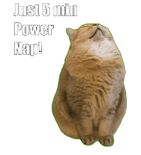 Cat Sticker