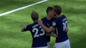 london football GIF by Tottenham Hotspur