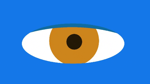 VISUAL_ARTS giphygifmaker GIF