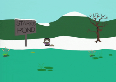 token black pond GIF by South Park 