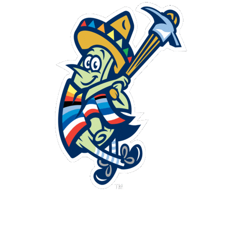 bluerocks giphygifmaker baseball wilmington wilmington blue rocks Sticker