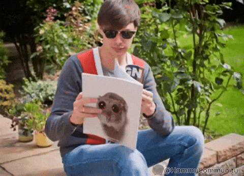 Reading Magazine GIF by Sad Hamster