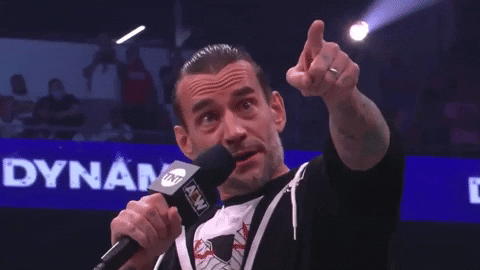 Cm Punk GIF by Leroy Patterson