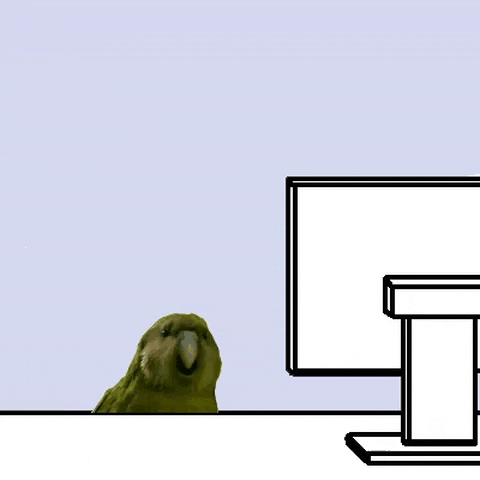 platanohaybrand giphygifmaker fun venezuela parrot GIF